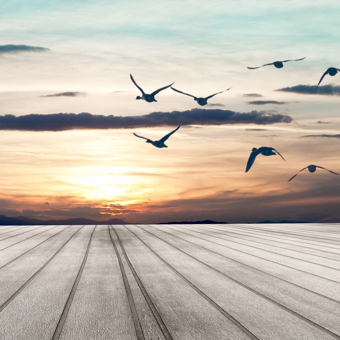 A group of birds flying in the sky at sunset.